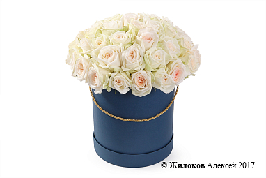 ����� 51 ���� ���� �'���� � ������� �������