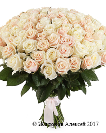 ����� 101 ����, ����� ����