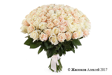 ����� 101 ����, ����� ����