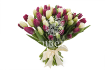 ����� 51 ����������� �������, ����-��������� ����