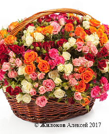 ����� 50 ������ �������� � �������