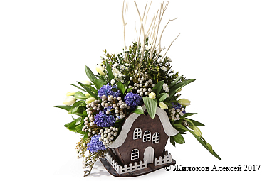 ����� ����� �� �������� ����� � �����