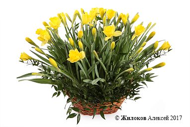 ����� � ���������� ������ � �������