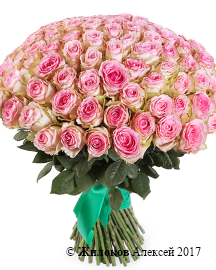 ����� 101 ���� ��������