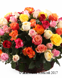 ����� ����������� ������� (101 ����) � �������