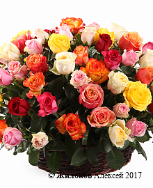 ����� ����������� ������� (101 ����) � �������