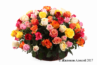 ����� ����������� ������� (101 ����) � �������