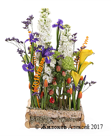 ���������� ������������ �������