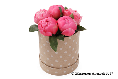 ����� 5 ���������� ������ � ������� �������