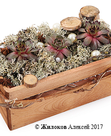 ���������� ������ � �����