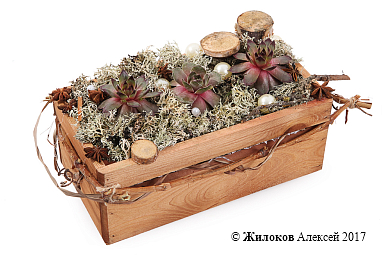 ���������� ������ � �����