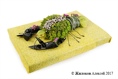 ���������� �� ������ ���