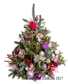 ���������� � ������ � ������