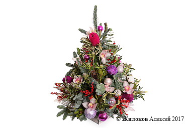 ���������� � ������ � ������