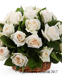 ����� 35 ��� ���� �'���� � �������