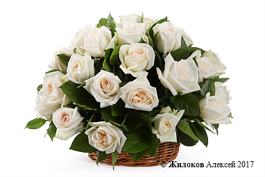 ����� 35 ��� ���� �'���� � �������