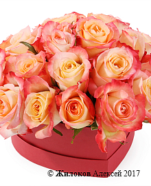 ���������� ������� ������� � ������� ������� ������ (����)