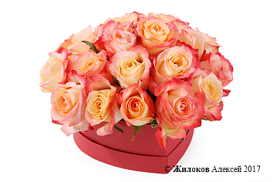 ���������� ������� ������� � ������� ������� ������ (����)