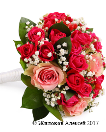 ����� ������� �����