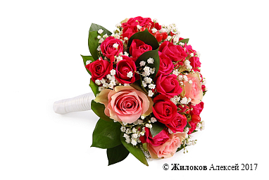 ����� ������� �����