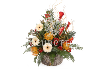 ����� ����� ��������