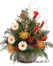 ����� ����� ��������