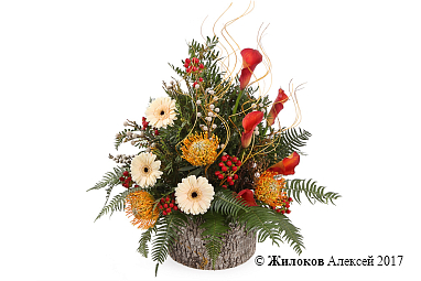 ����� ����� ��������