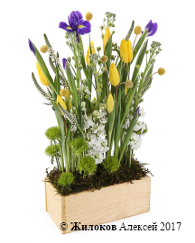 ���������� � �������� ����� � �����