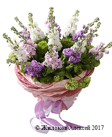 ����� � ��������� �������� ���