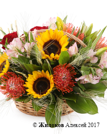 ����� ���� � ��������