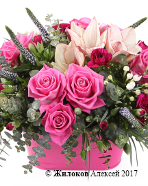 ���������� ����������� ����� � �����