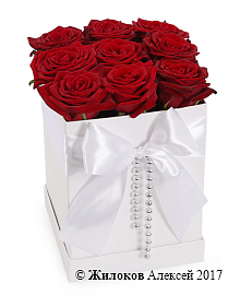 ����� ������ ������� � ������� �������