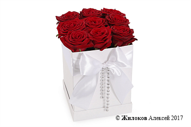 ����� ������ ������� � ������� �������