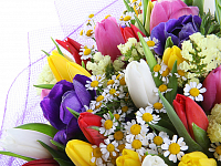 �������� ������ ������ � ���� � ������� ��������