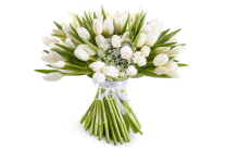 ����� 101 �������, �����