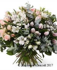 ����� ��������� ��������