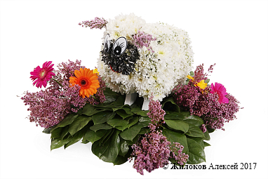 ���������� ������ �����