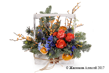 ����� ����� ������