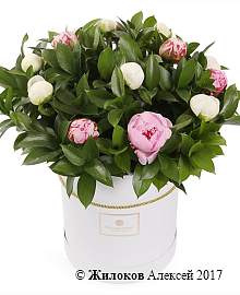 ����� � ������� ������ � ������� �������