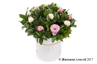 ����� � ������� ������ � ������� �������