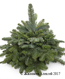 ���������� ������