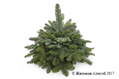 ���������� ������