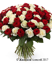 ����� 101 ���� ������-����� ����