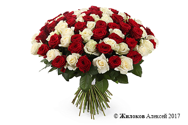 ����� 101 ���� ������-����� ����