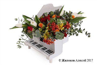 ���������� ����������� �������� � �����