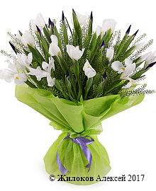 ����� � ������� ������ ��� �������