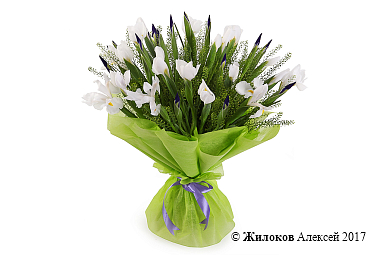 ����� � ������� ������ ��� �������