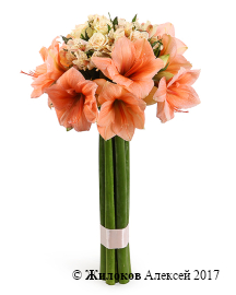 ����� � �������������� ������� ������