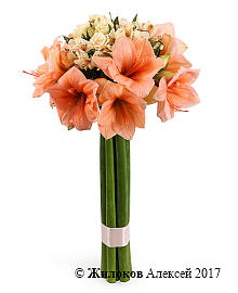 ����� � �������������� ������� ������