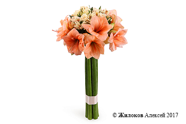 ����� � �������������� ������� ������